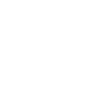 burberry logo